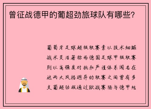 曾征战德甲的葡超劲旅球队有哪些？